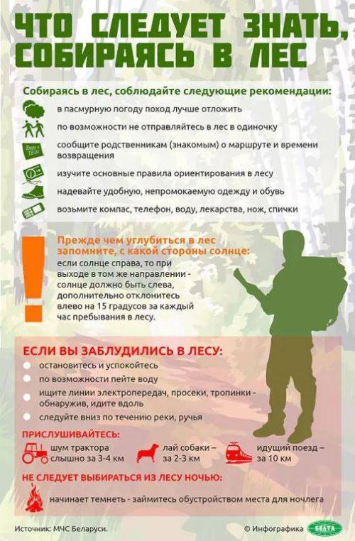 photo За прошедшие сутки спасатели 14 раз выезжали на поиски потерявшихся в лесу