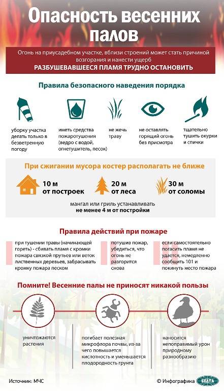 000023_4254d5aa80e905eb432586be004d0036_341653 Новиков: суммы возмещения ущерба от пожаров в экосистемах могут намного превышать штрафы
