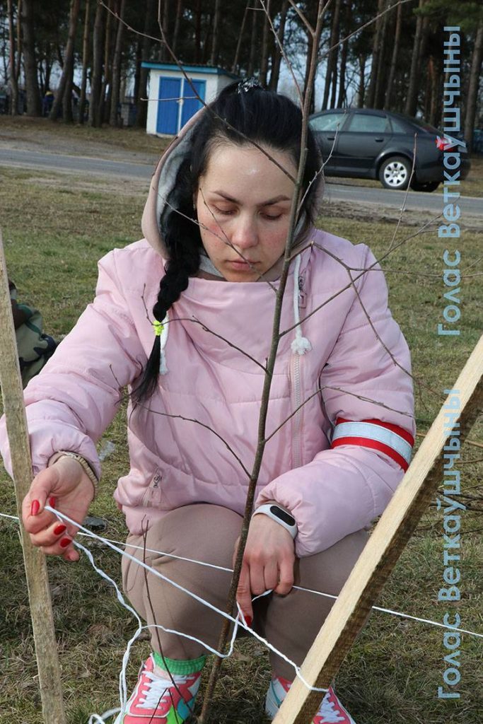12-683x1024 Сегодня ветковчане в ходе Единого дня озеленения посадили в райцентре берёзовую аллею