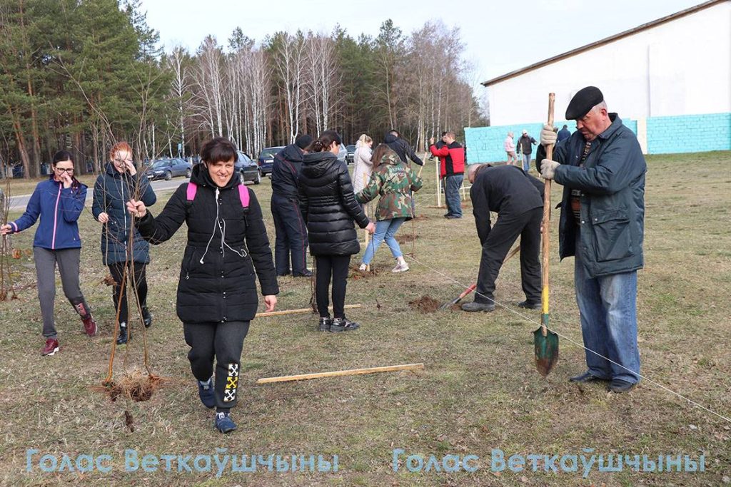 16-1024x683 Сегодня ветковчане в ходе Единого дня озеленения посадили в райцентре берёзовую аллею