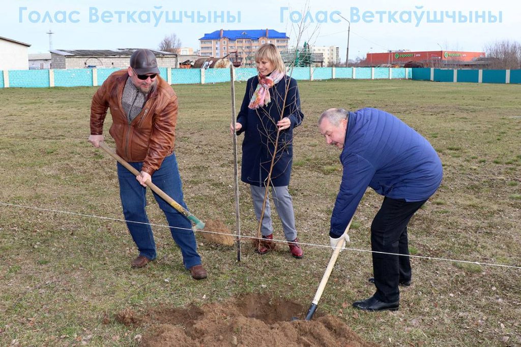 17-1024x683 Сегодня ветковчане в ходе Единого дня озеленения посадили в райцентре берёзовую аллею