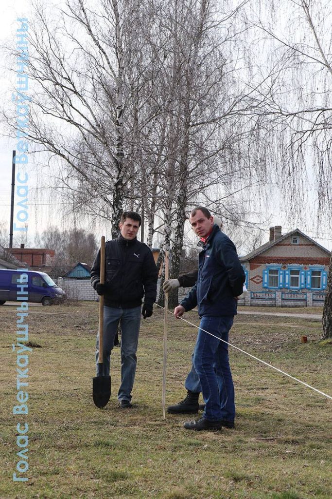 3-683x1024 Сегодня ветковчане в ходе Единого дня озеленения посадили в райцентре берёзовую аллею