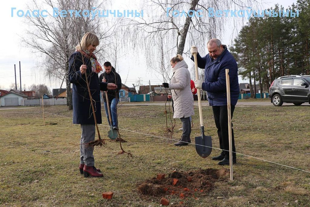 4-1024x683 Сегодня ветковчане в ходе Единого дня озеленения посадили в райцентре берёзовую аллею