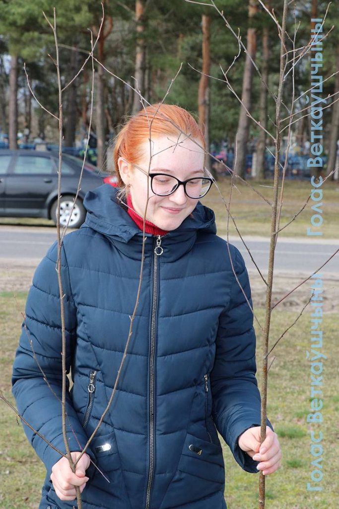 5-683x1024 Сегодня ветковчане в ходе Единого дня озеленения посадили в райцентре берёзовую аллею