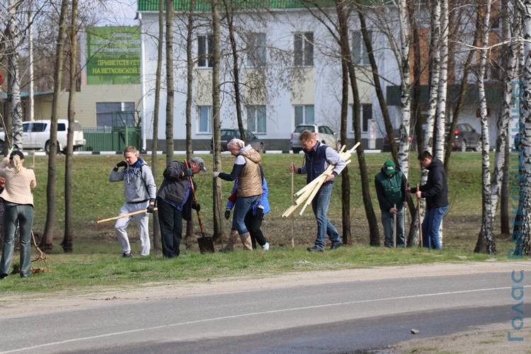 vetkovski_raion_ispolkom_17_04-7 Работники Ветковского районного исполнительного комитета в ходе субботника продолжили посадку деревьев в городе