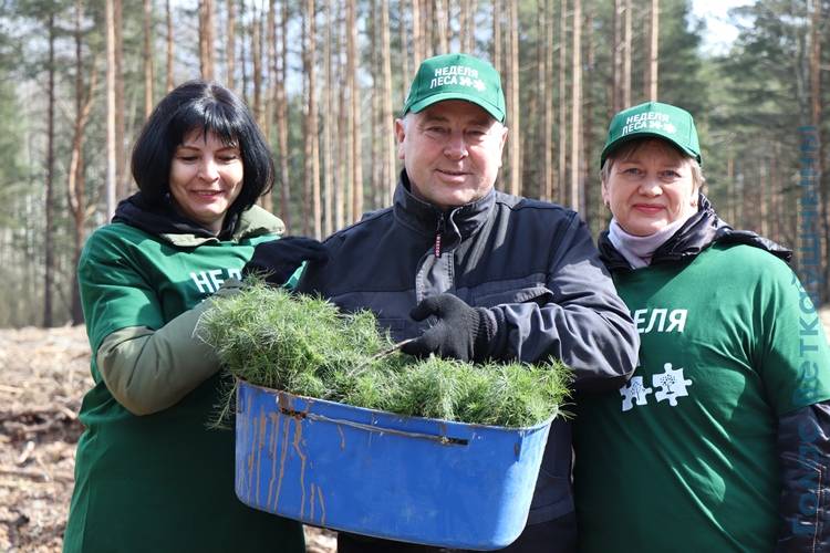 vetkovski_raion_les_09_04-10 Неделя леса в Ветковском районе продолжается. Сегодня на лесопосадке работали коллектив райисполкома, депутаты районного Совета во главе с его председателем В. И. Масейковым, профсоюзы и лидер молодёжного движения