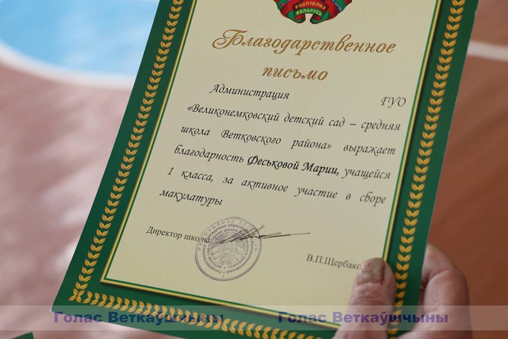 img_2353-1024x683 В Великонемковской школе прозвучал последний звонок