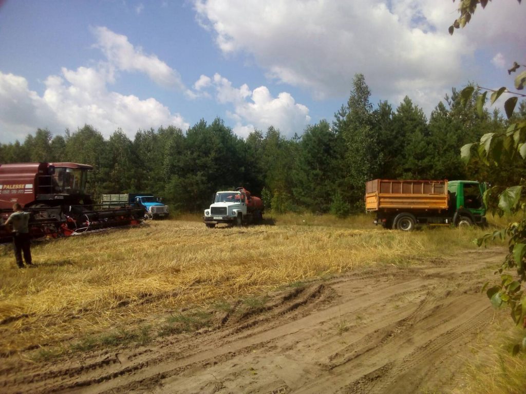 img-136c2e8f6a2a35d7188da94398d4e7de-v-1024x768 ЖАТВА В РЕАЛЬНОМ ВРЕМЕНИ. 30 июля.