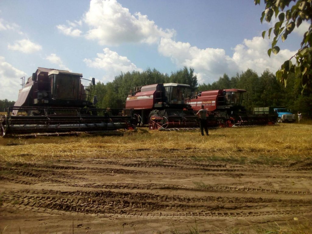 img-852e61f70daa39d4e4d211e749139d4c-v-1024x768 ЖАТВА В РЕАЛЬНОМ ВРЕМЕНИ. 30 июля.