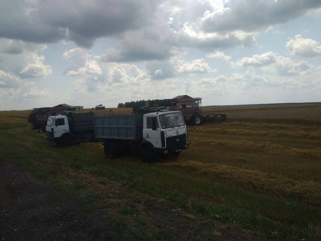 img-ac98d1a293fffe293fd2b855c4597e44-v-1024x768 ЖАТВА В РЕАЛЬНОМ ВРЕМЕНИ. 30 июля.