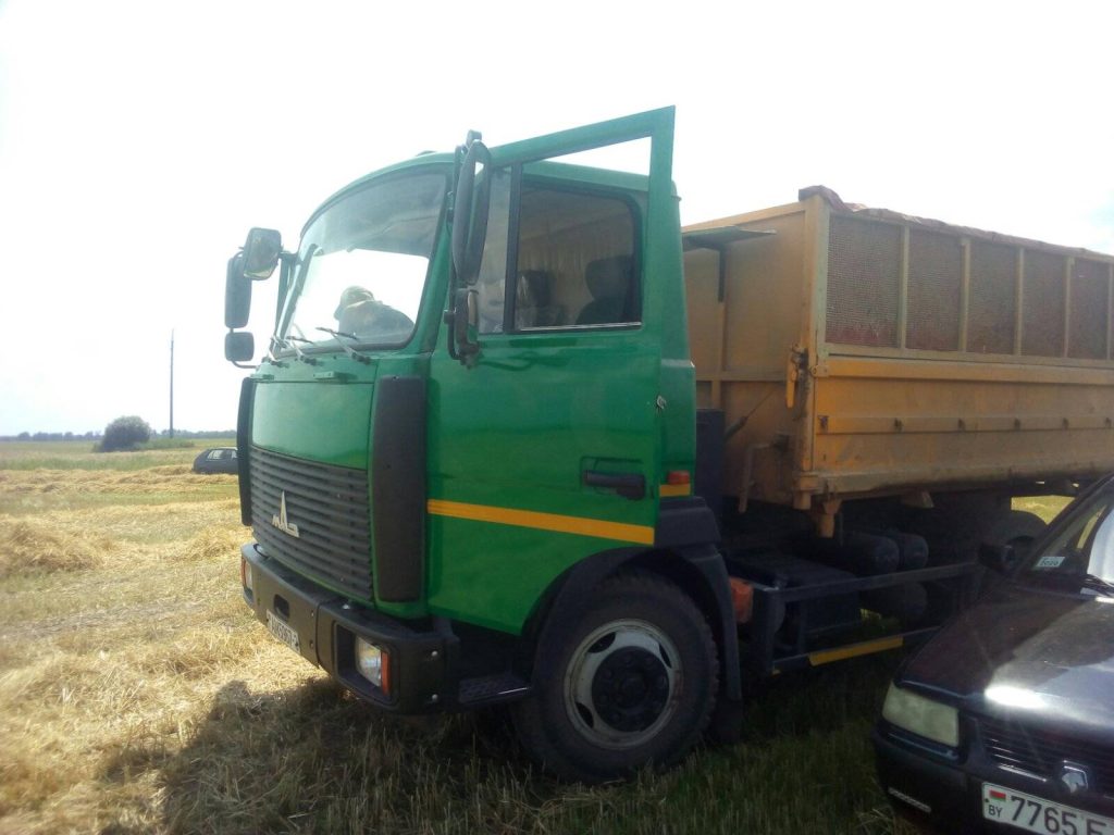 img-bf3cb995eadc9f1c8be119a93d5e6b5b-v-1024x768 ЖАТВА В РЕАЛЬНОМ ВРЕМЕНИ. 26 июля.