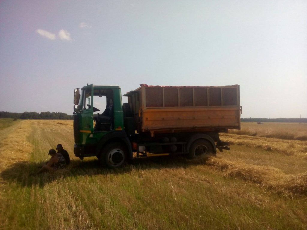 img-f0f4cc6d117ac59d55376c51cfa12ae7-v-1024x768 ЖАТВА В РЕАЛЬНОМ ВРЕМЕНИ. 26 июля.