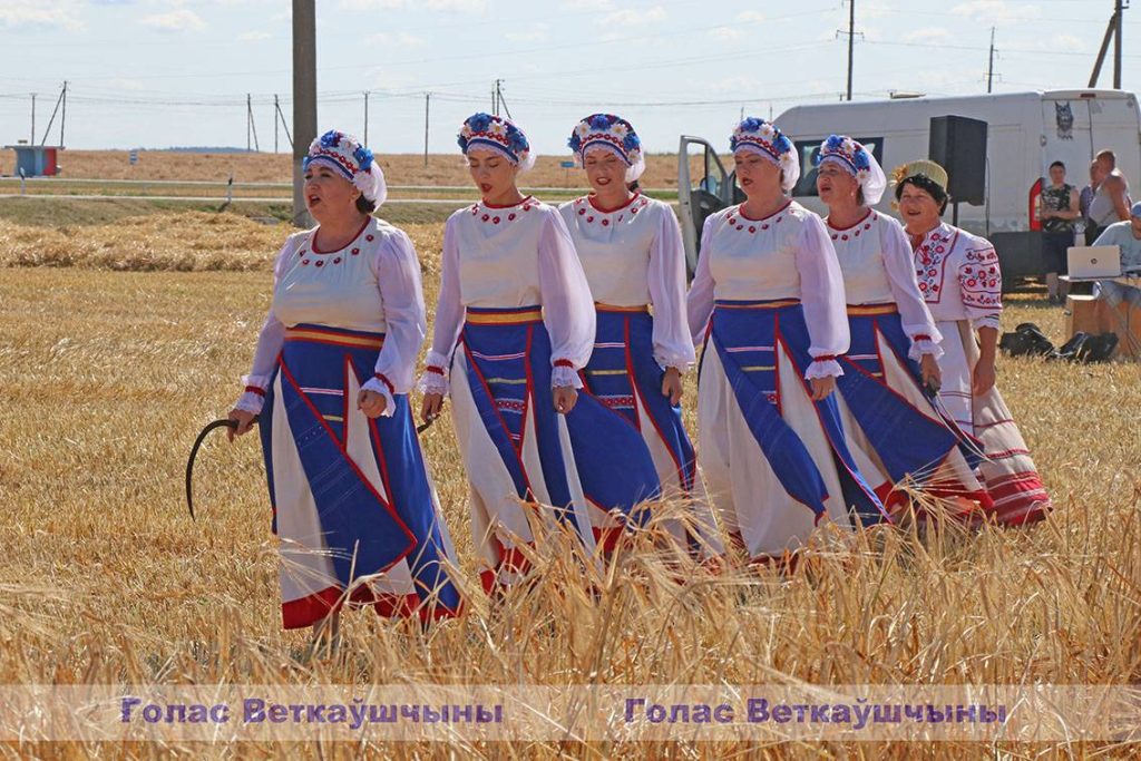 img_5403-1024x683 На поле ОАО "Хальч" состоялись районные "Зажинки" — праздник первого снопа