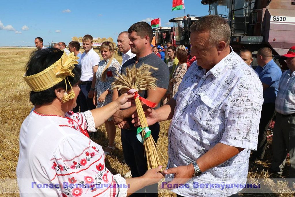 img_5482-1024x683 На поле ОАО "Хальч" состоялись районные "Зажинки" — праздник первого снопа