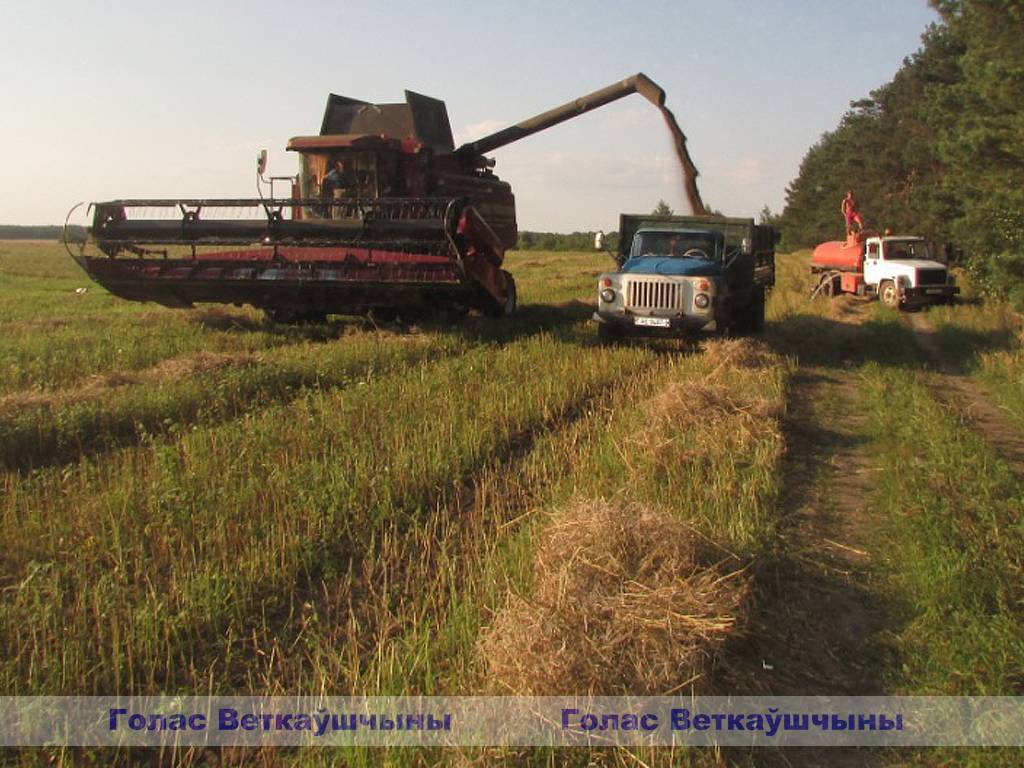 img_8354 Спасатели за безопасность уборочной кампании