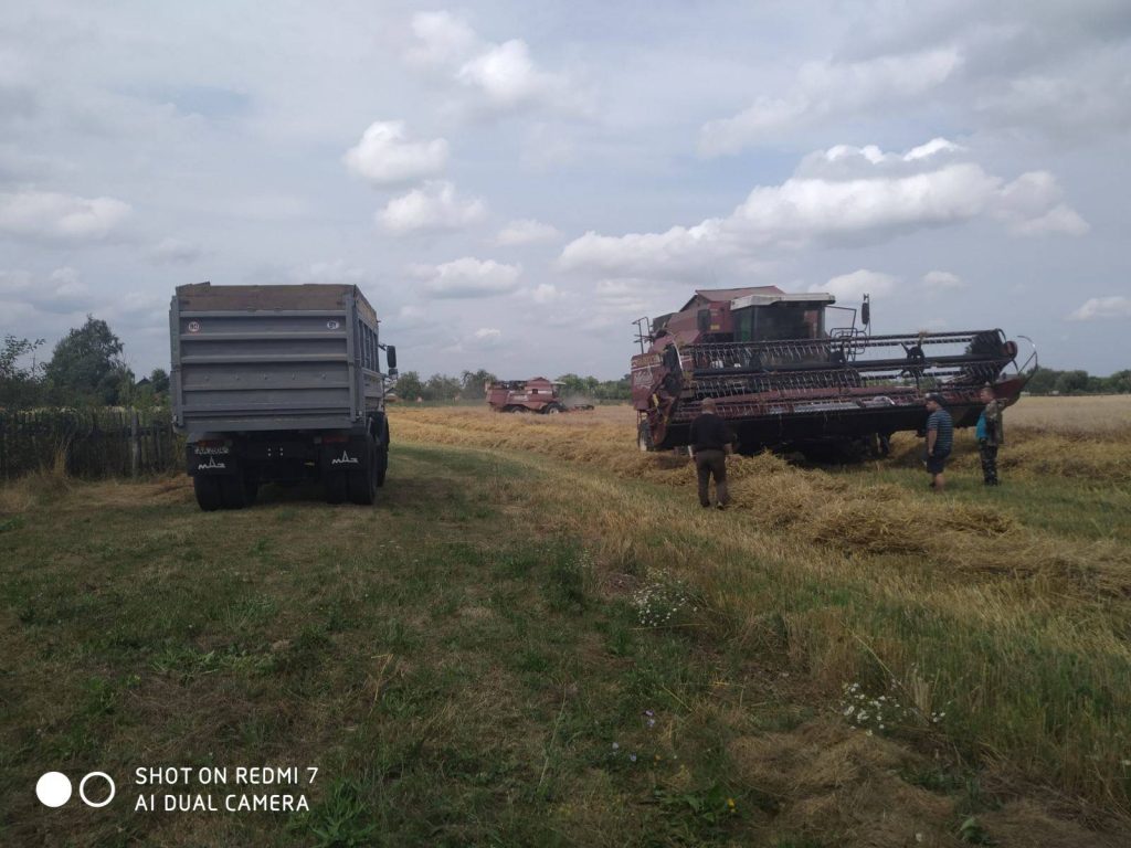 img-1e9b28a2cc5120d9caa4c037a6da78a6-v-1024x768 ЖАТВА В РЕАЛЬНОМ ВРЕМЕНИ. 6 августа.
