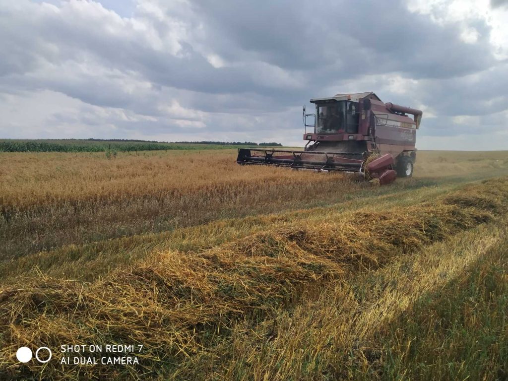 img-2c6940844149d23e8cf9f43dc23412a5-v-1024x768 ЖАТВА В РЕАЛЬНОМ ВРЕМЕНИ. 11 августа