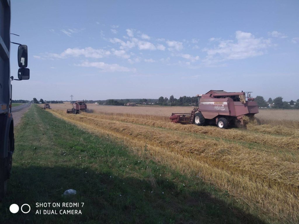 img-46fcbab414c4b0eefdfbe64e4cbd7e43-v-1024x768 ЖАТВА В РЕАЛЬНОМ ВРЕМЕНИ. 2 августа.