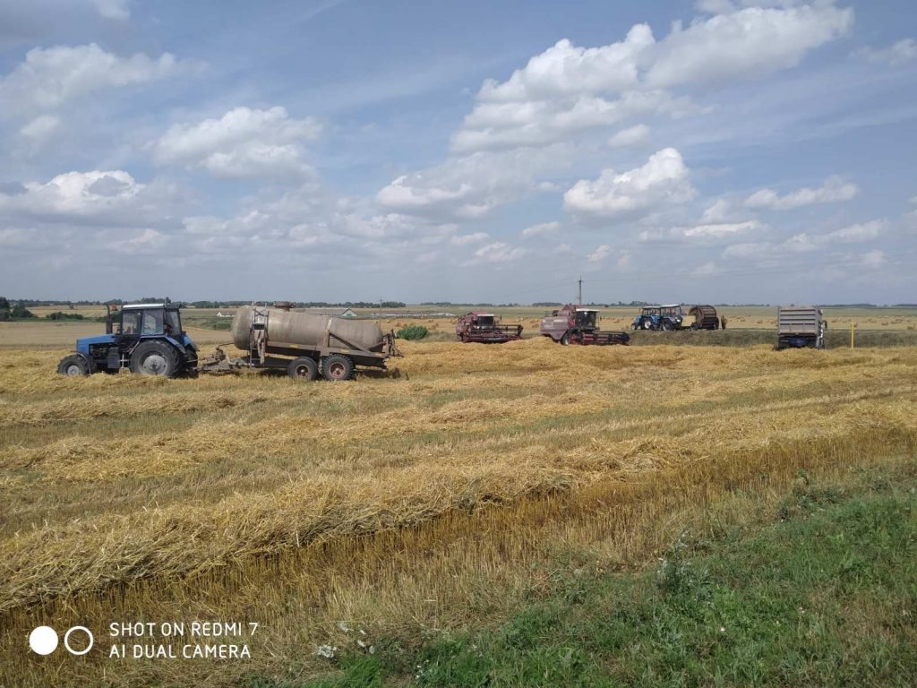 img-4ed14a922071b02a3d3f95f26321dafc-v-1024x768 ЖАТВА В РЕАЛЬНОМ ВРЕМЕНИ. 2 августа.