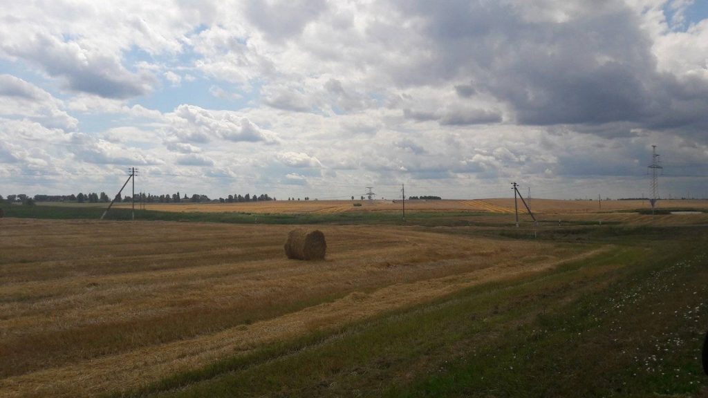 img-6058ba906682231e0e887807c7d17908-v-1024x576 ЖАТВА В РЕАЛЬНОМ ВРЕМЕНИ. 3 августа.