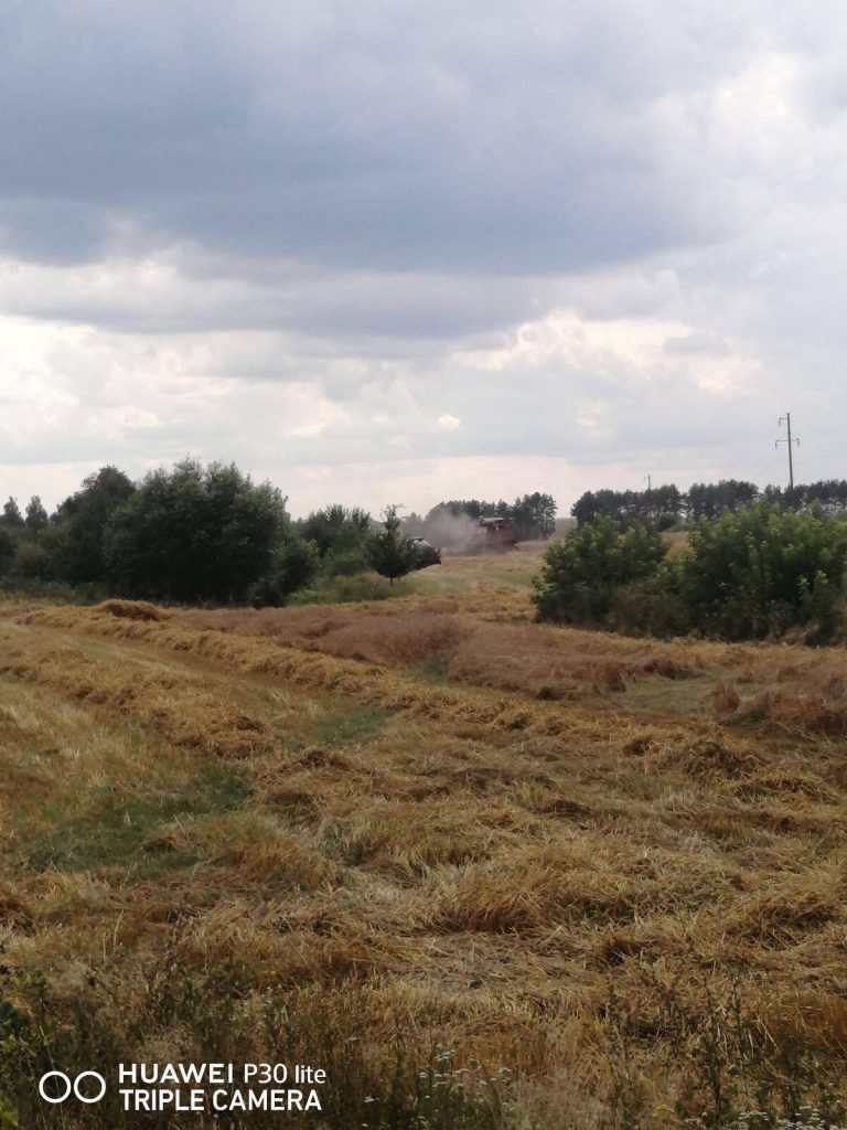 img-95c1402c8617f03f4be4623bbc6fcb19-v-768x1024 ЖАТВА В РЕАЛЬНОМ ВРЕМЕНИ. 5 августа.