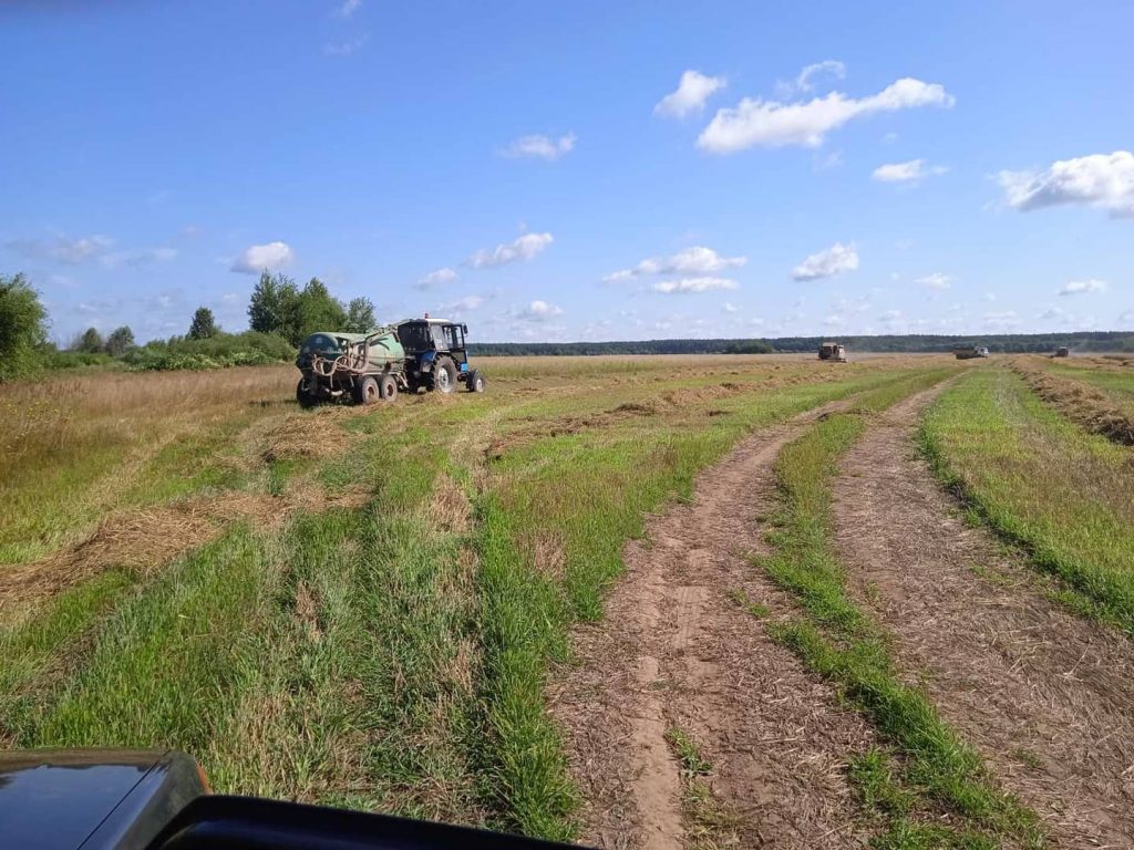 img_20210803_123932_907-1024x768 ЖАТВА В РЕАЛЬНОМ ВРЕМЕНИ. 3 августа.