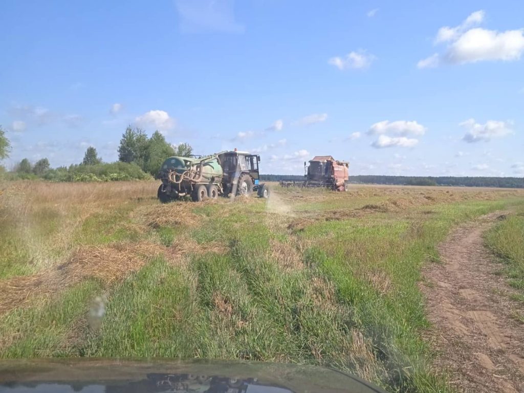 img_20210803_123932_977-1024x768 ЖАТВА В РЕАЛЬНОМ ВРЕМЕНИ. 3 августа.