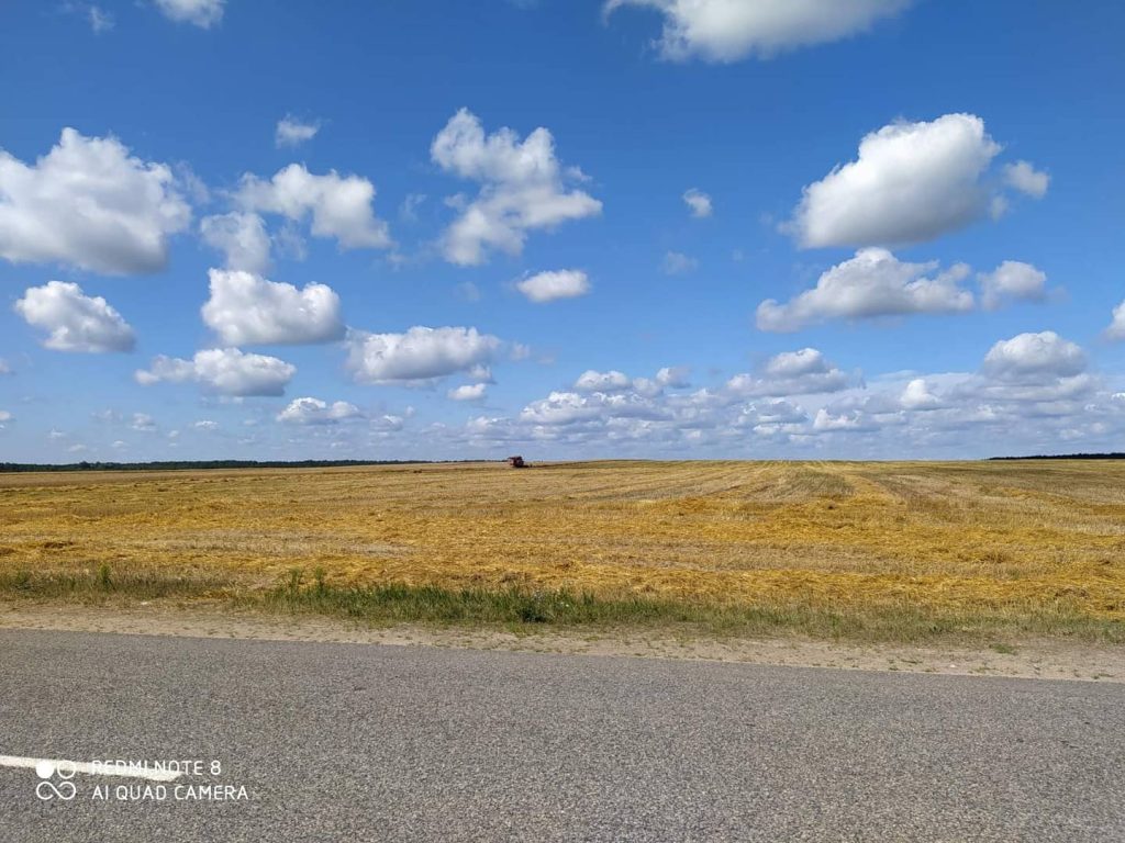img_20210803_123933_191-1024x768 ЖАТВА В РЕАЛЬНОМ ВРЕМЕНИ. 3 августа.