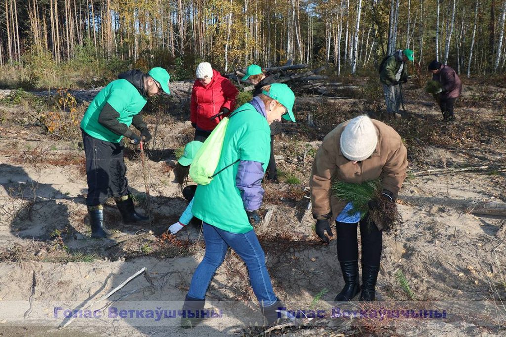 img_7042-1024x683 Акция "Чистый лес" прошла на Ветковщине