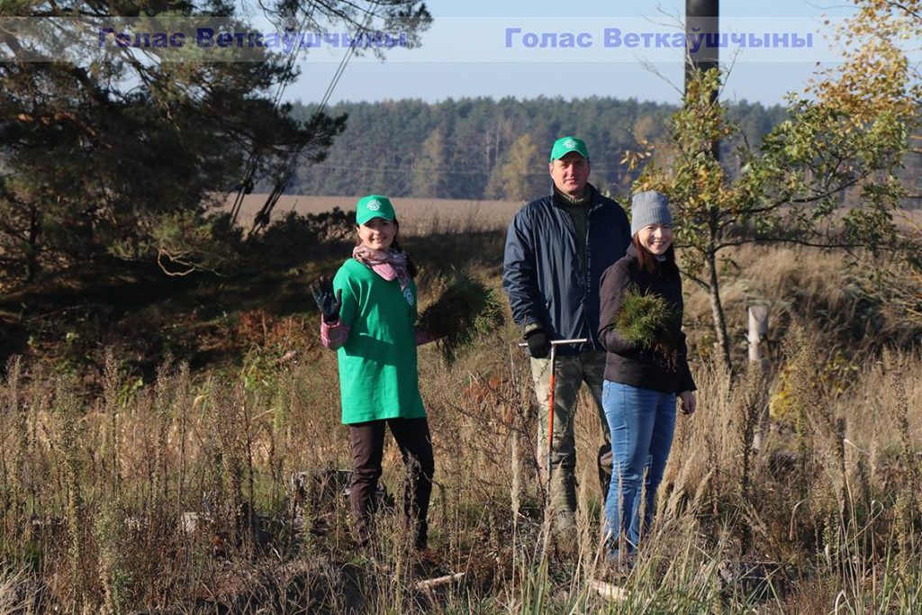 img_7055-1024x683 Акция "Чистый лес" прошла на Ветковщине