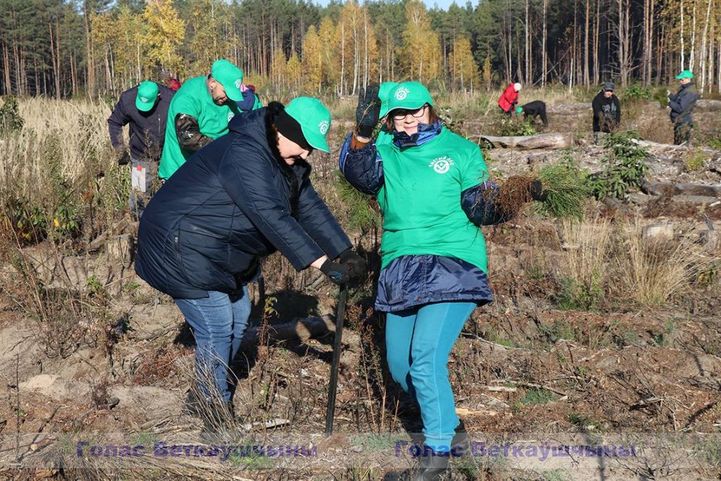 img_7067-1024x683 Акция "Чистый лес" прошла на Ветковщине