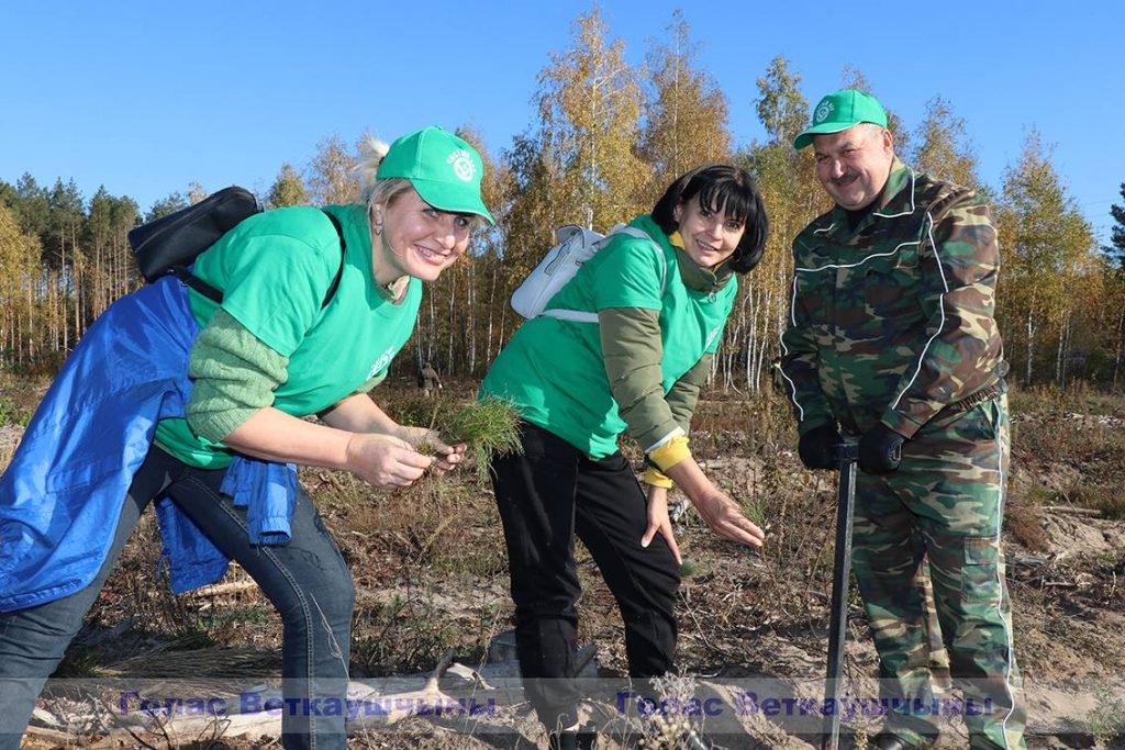 img_7086-1024x683 Акция "Чистый лес" прошла на Ветковщине
