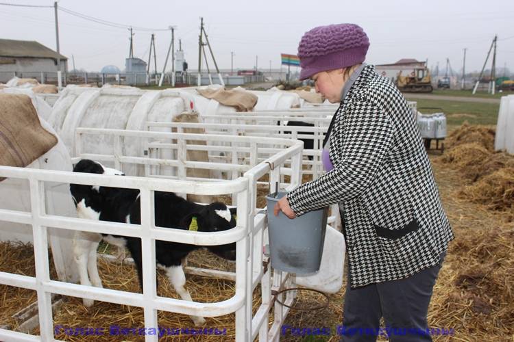 vetkovski_raion_prokuror_22_11 Прокуратура Ветковского района провела мониторинг на предприятиях агропромышленного комплекса в Хальче и Радуге