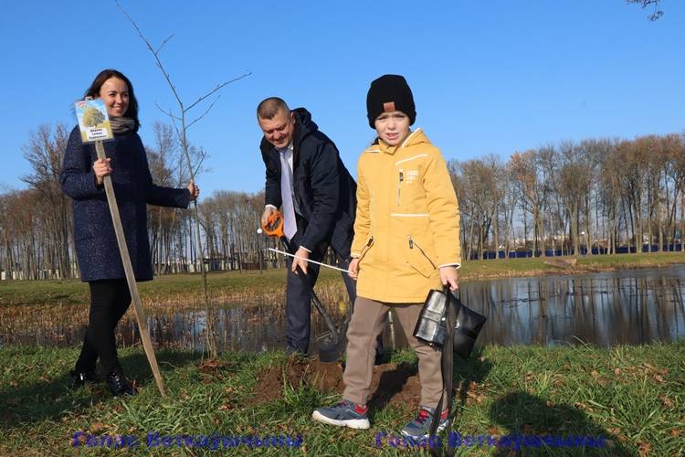 vetkovski_raion_riabinovaia_alleia_03_11-3 Семья крепка своими традициями
