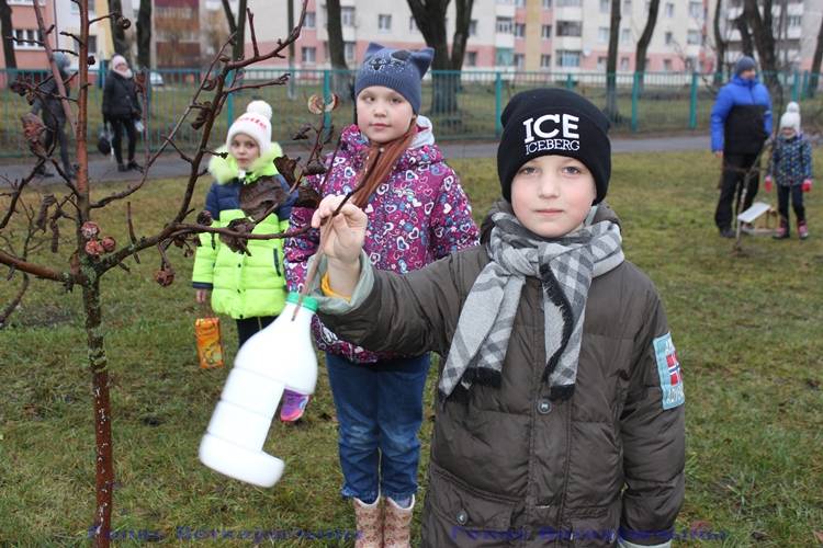 vetkovski_raion_ptitsi_17_12-6 Помогаем пернатым друзьям зимовать