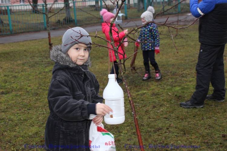 vetkovski_raion_ptitsi_17_12-7 Помогаем пернатым друзьям зимовать