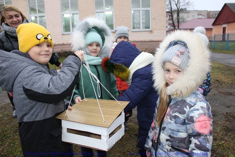 vetkovski_raion_ptitsi_17_12 Помогаем пернатым друзьям зимовать