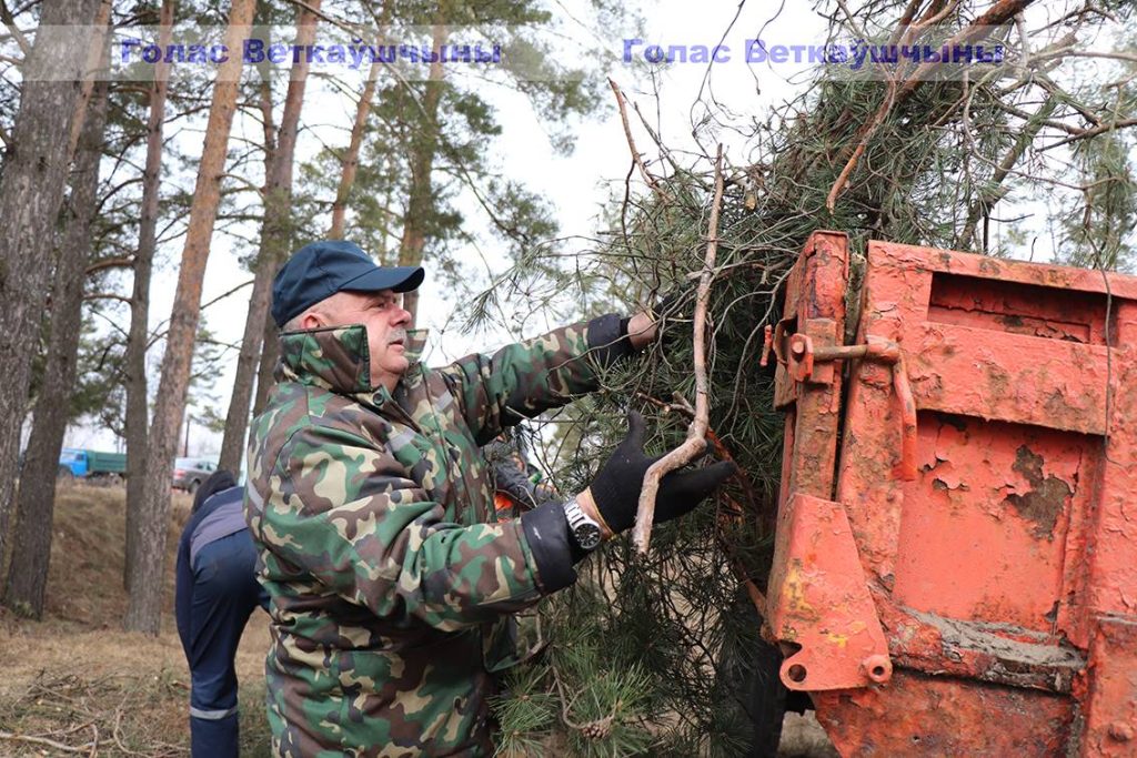img_0031-1024x683 Коллективы организаций наводили порядок на городских улицах