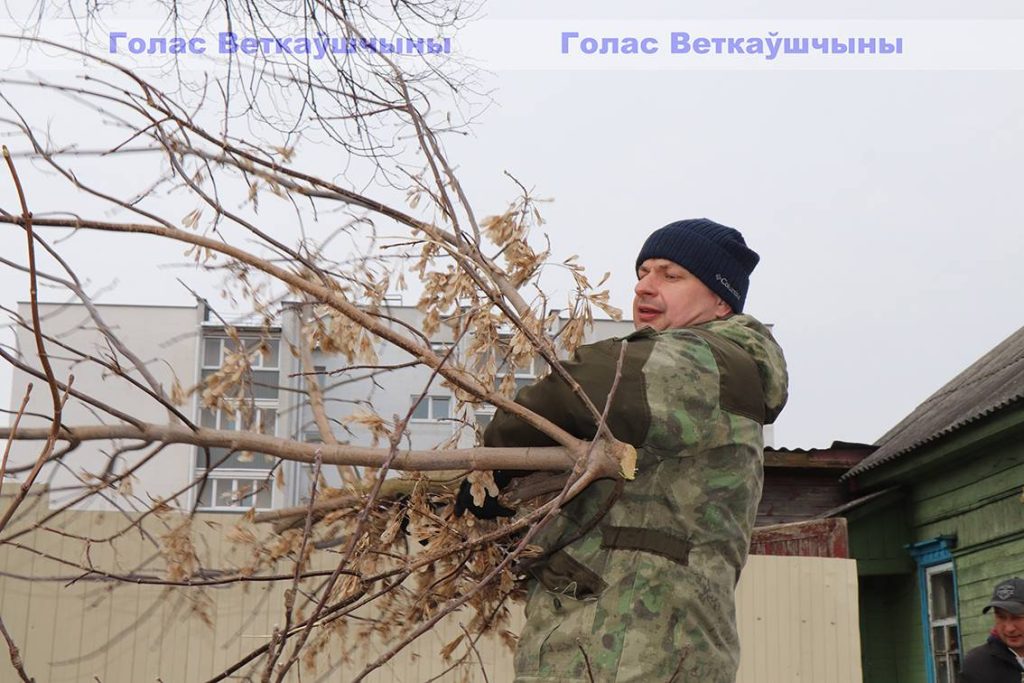 img_0069-1024x683 Ветковский райисполком и районный Совет депутатов проводят санитарную очистку древесно-кустарниковой растительности на участке рядом с новостройкой в центре города