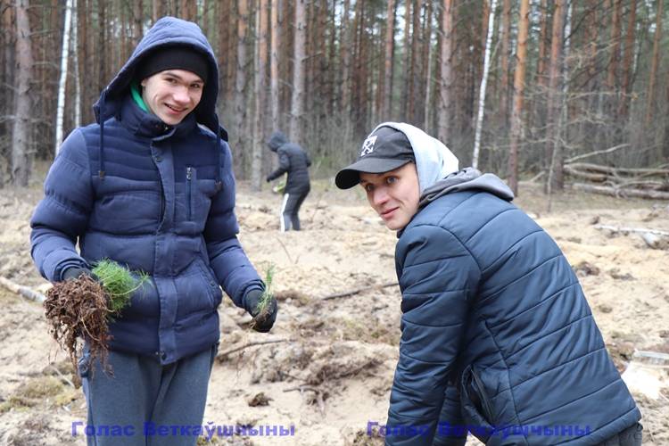 img_0161 28 марта впервые на территории Ветковского спецлесхоза начал свою работу Студенческий экологический отряд "Луч" имени Героя Советского Союза Буйневича Павла Николаевича