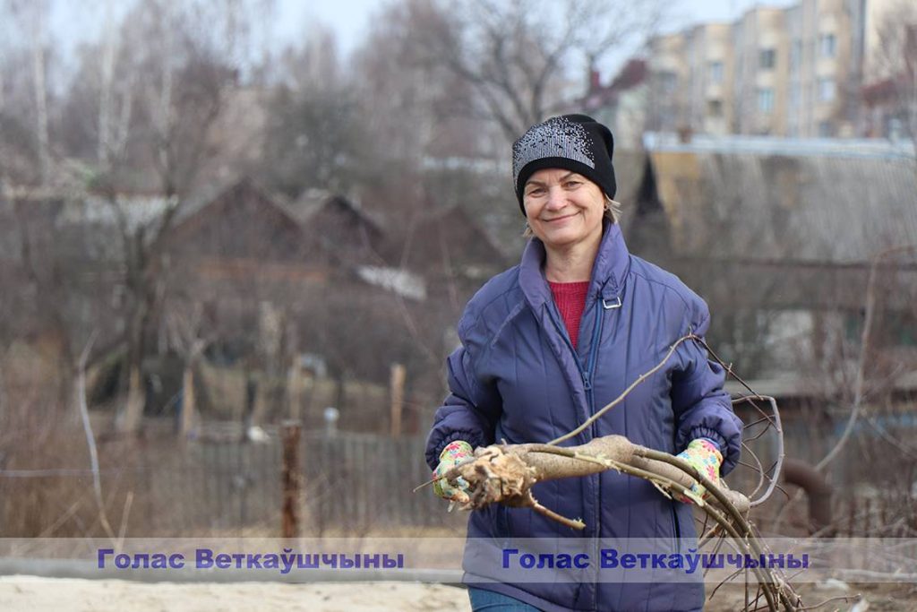 img_9832-1024x683 Ветковский райисполком и районный Совет депутатов проводят санитарную очистку древесно-кустарниковой растительности на участке рядом с новостройкой в центре города
