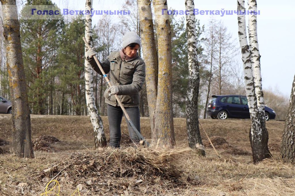 img_9907-1024x683 Акватории водных объектов города выглядят ухоженно. И всё благодаря труду ветковчан