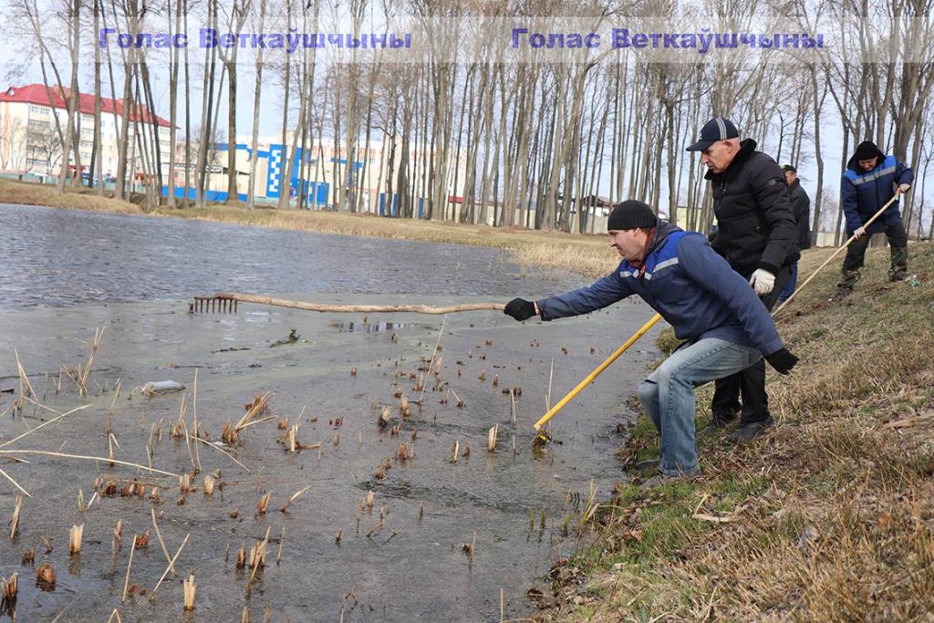 img_9941-1024x683 Акватории водных объектов города выглядят ухоженно. И всё благодаря труду ветковчан