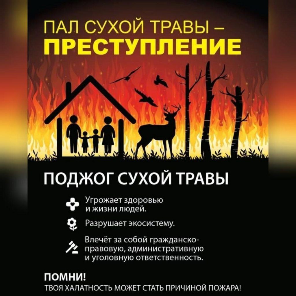 photo_2022-03-17_06-39-14-1024x1024 Пал сухой травы — преступление