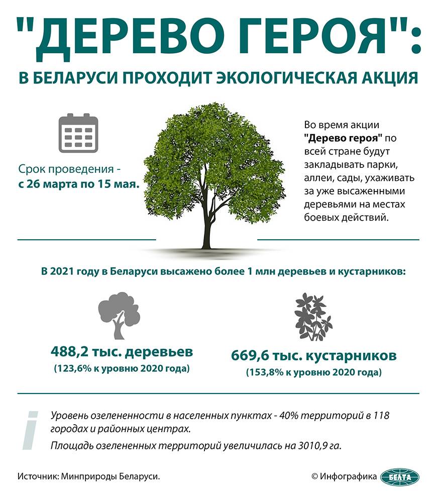 000023_c7ae52cc8b59d09a43258830001c917d_960223 "Деревья героев" высаживают в Гомельской области в честь поколения победителей