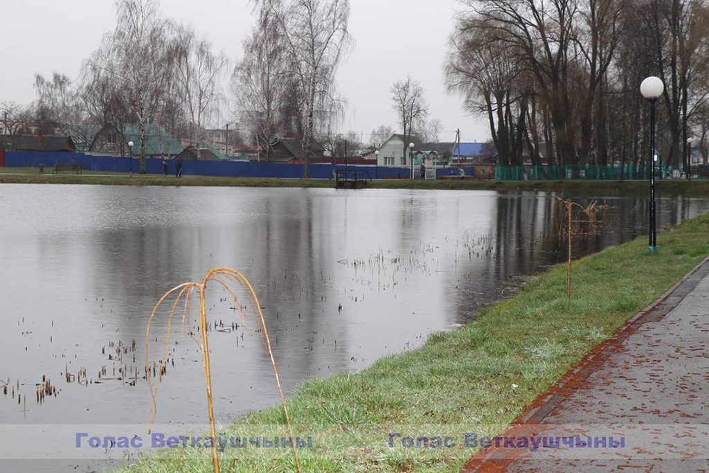 img_0899-1024x683 Сегодня излюбленное место отдыха ветковчан — территория озера Ставок — стала ещё чище и ухоженнее