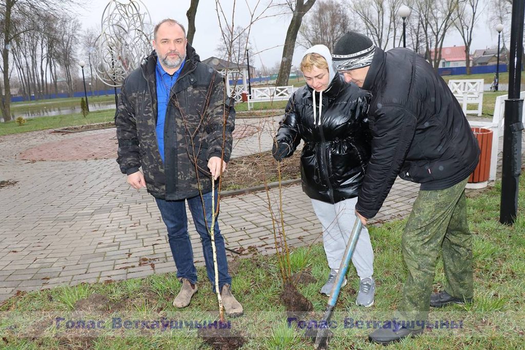 img_0913-1024x683 Парковая часть зоны отдыха «Ставок» пополнилась десятками молодых деревьев