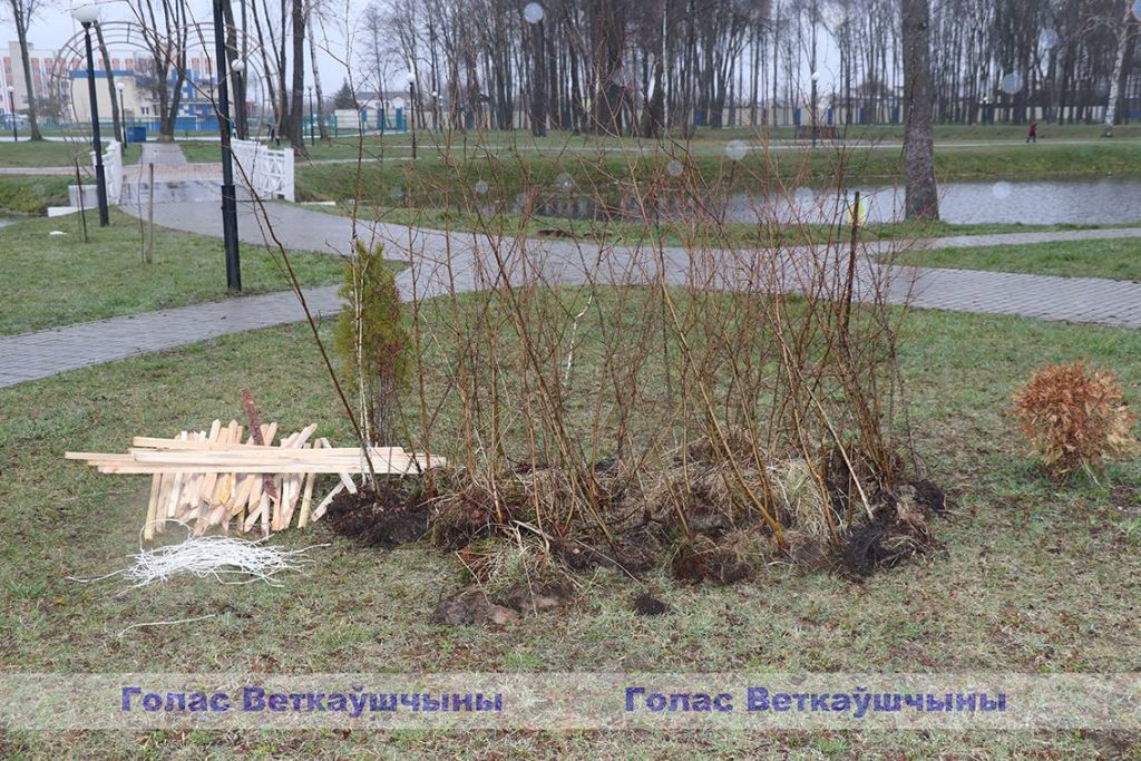 img_0917-1024x683 Парковая часть зоны отдыха «Ставок» пополнилась десятками молодых деревьев