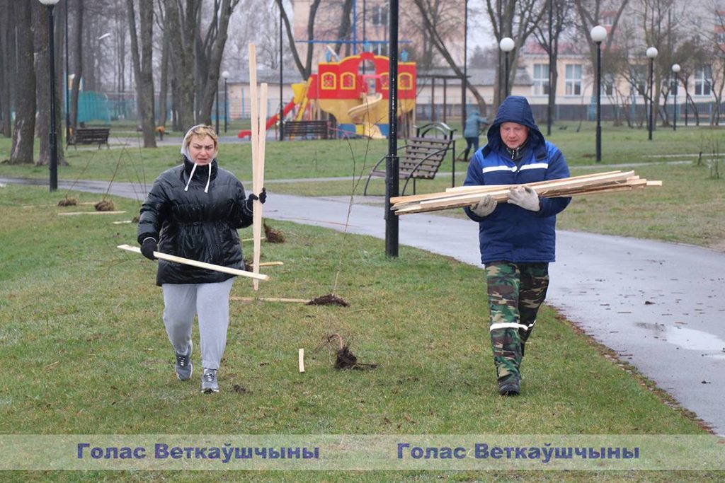 img_0927-1024x683 Парковая часть зоны отдыха «Ставок» пополнилась десятками молодых деревьев