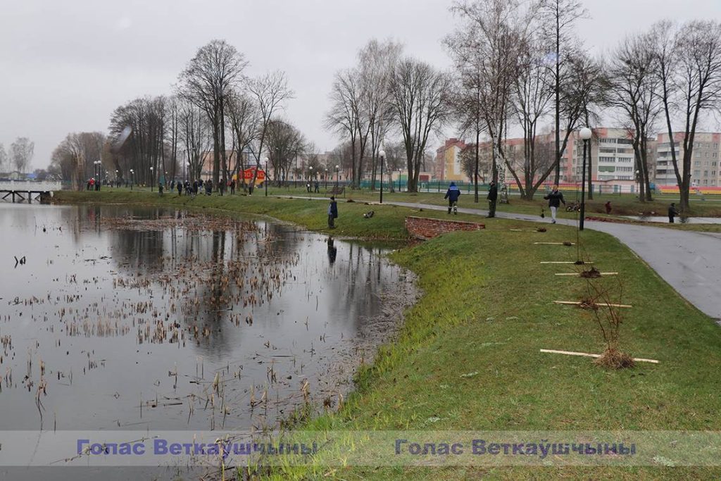 img_0929-1024x683 Парковая часть зоны отдыха «Ставок» пополнилась десятками молодых деревьев